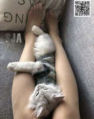 手机在线欧美_BD英语完整视频观看
