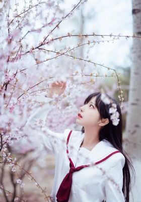 菲梦之星_BD在线视频观看